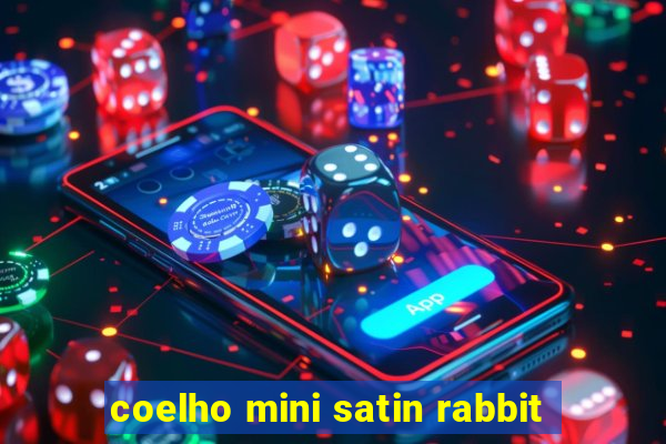 coelho mini satin rabbit